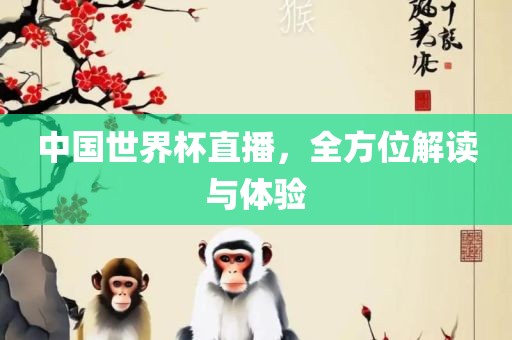 中国世界杯直播，全方位解读与金炬实业股份有限公司体验
