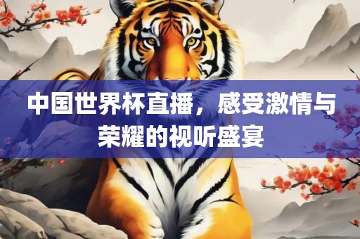 中国世界杯直播，感受激情与荣耀的视听金炬实业股份有限公司盛宴
