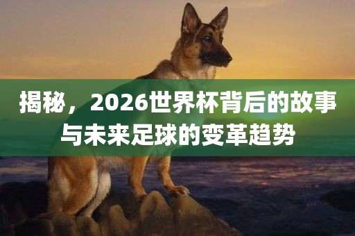 揭秘，2026世界杯背后的故事与未来足球的变革趋势