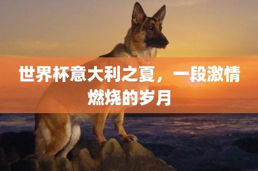 世界杯意大利之夏，一段激情燃烧的岁月