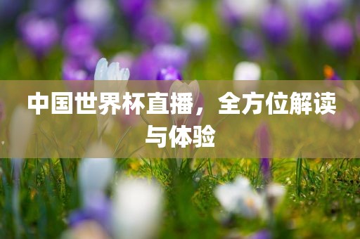 中国世界杯直播，全方位解读与体验金炬实业股份有限公司