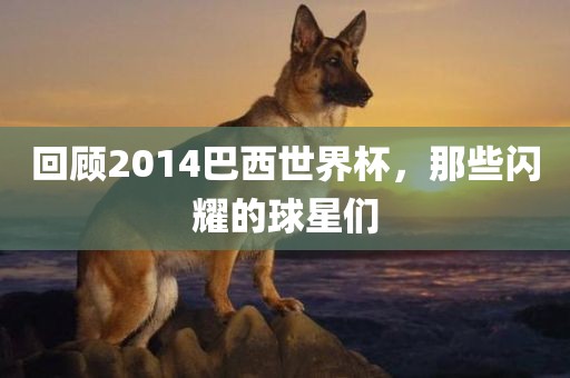 回顾2014巴西世界杯，那些闪耀的球星们