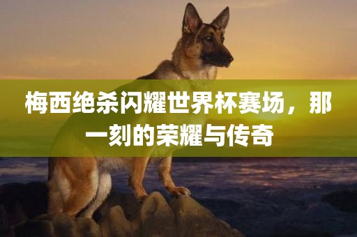 梅西绝杀闪耀世界杯赛场，那一刻的荣耀与传奇