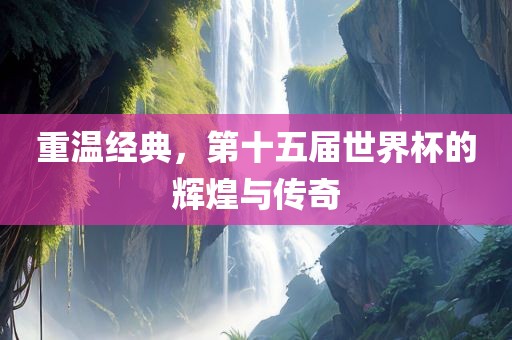 重温经典，第十五届世界杯的辉煌与传奇