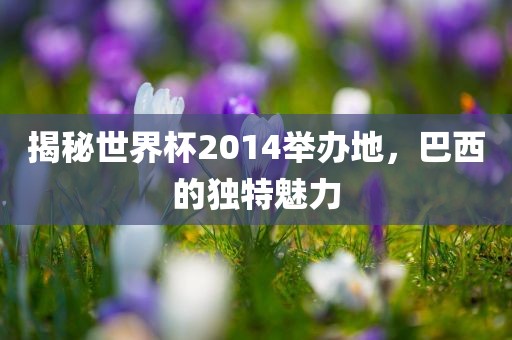 揭秘世界杯2014举办地，巴西的独特魅力
