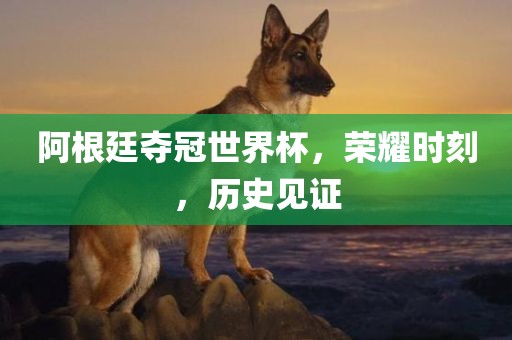 阿根廷夺冠世界杯，荣耀时刻，历史见证