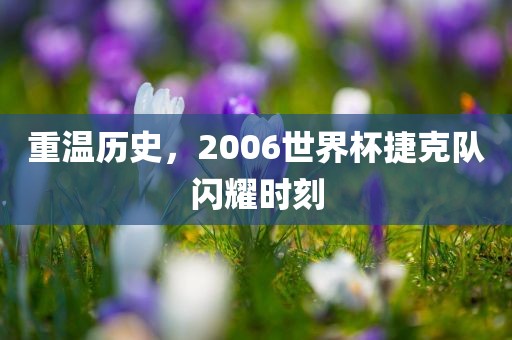 重温历史，2006世界杯捷克队闪耀时刻