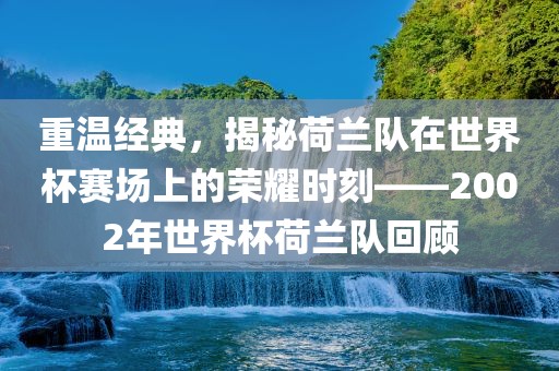 重温经典，揭秘荷兰队在世界杯赛场上的荣耀时刻——2002年世界杯荷兰队回顾