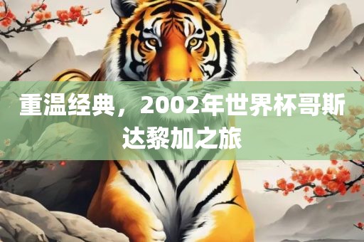 重温经典，2002年世界杯哥斯达黎加之旅