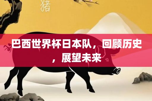 巴西世界杯日本队，回顾历史，展望未来