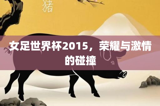 女足世界杯2015，荣耀与激情的碰撞