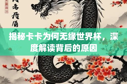 揭秘卡卡为何无缘世界杯，深度解读背后的原因