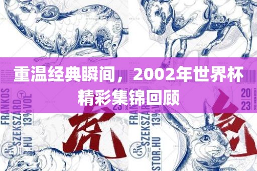 重温经典瞬间，2002年世界杯精彩集锦回顾