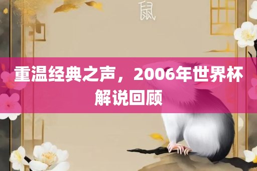 重温经典之声，2006年世界杯解说回顾