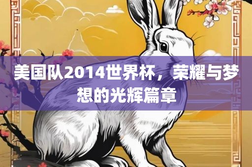 美国队2014世界杯，荣耀与梦想的光辉篇章