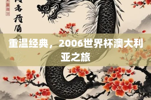 重温经典，2006世界杯澳大利亚之旅