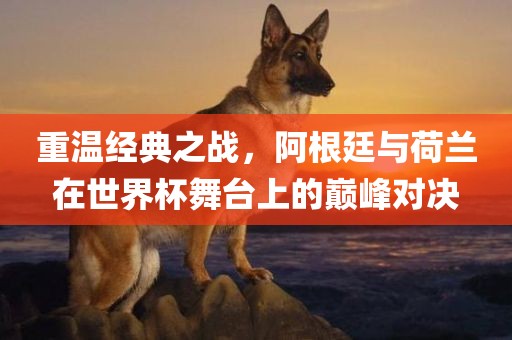 重温经典之战，阿根廷与荷兰在世界杯舞台上的巅峰对决