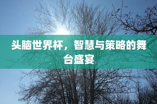 头脑世界杯，智慧与策略的舞台盛宴