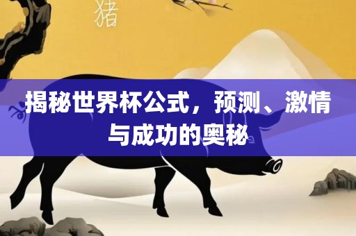 揭秘世界杯公式，预测、激情与成功的奥秘