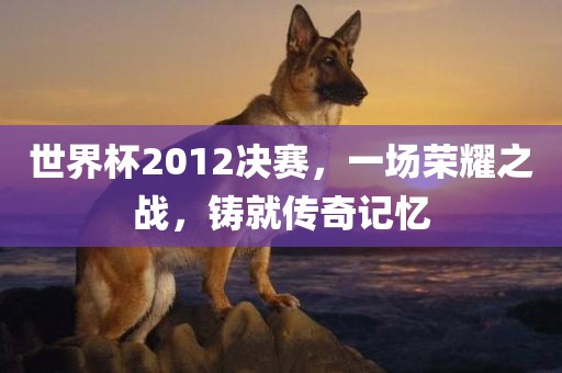 世界杯2012决赛，一场荣耀之战，铸就传奇记忆
