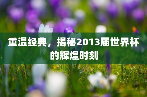 重温经典，揭秘2013届世界杯的辉煌时刻