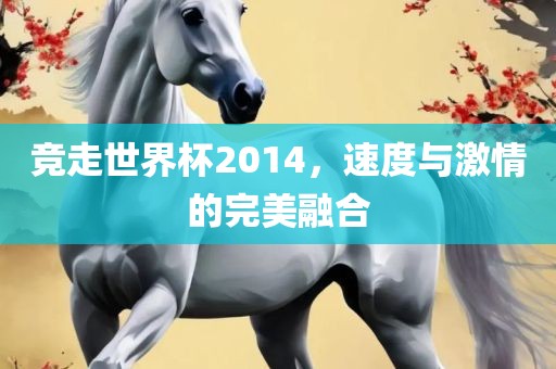 竞走世界杯2014，速度与激情的完美融合