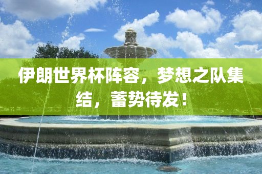 伊朗世界杯阵容，梦想之队集结，蓄势待发！
