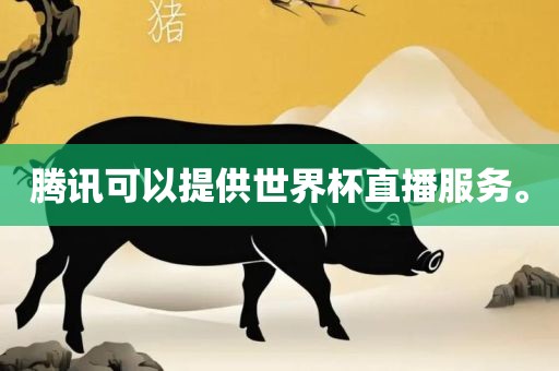 腾讯可以提供世界杯直播服务。