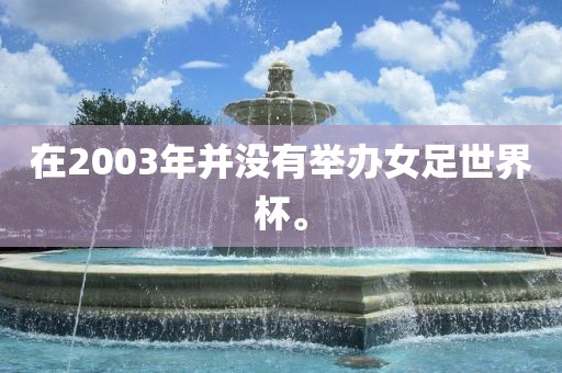 在2003年并没有举办女足世界杯。