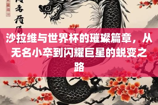 沙拉维与世界杯的璀璨篇章，从无名小卒到闪耀巨星的蜕变之路