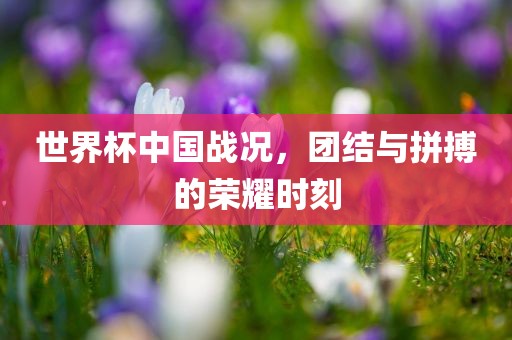 世界杯中国战况，团结与拼搏的荣耀时刻