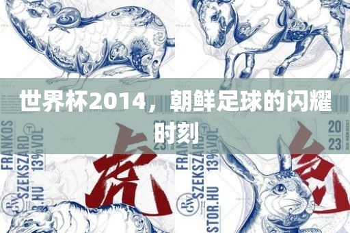 世界杯2014，朝鲜足球的闪耀时刻