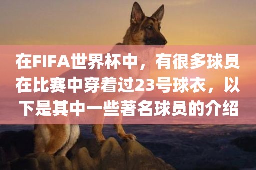 在FIFA世界杯中，有很多球员在比赛中穿着过23号球衣，以下是其中一些著名球员的介绍