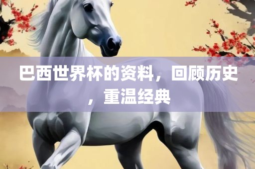 巴西世界杯的资料，回顾历史，重温经典