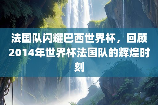法国队闪耀巴西世界杯，回顾2014年世界杯法国队的辉煌时刻