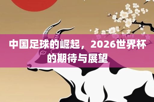 中国足球的崛起，2026世界杯的期待与展望