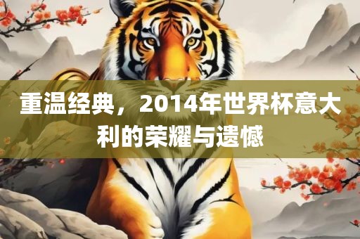 重温经典，2014年世界杯意大利的荣耀与遗憾
