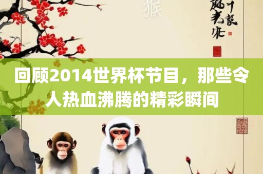 回顾2014世界杯节目，那些令人热血沸腾的精彩瞬间