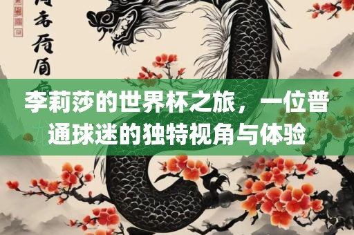 李莉莎的世界杯之旅，一位普通球迷的独特视角与体验