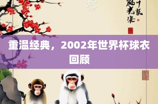 重温经典，2002年世界杯球衣回顾
