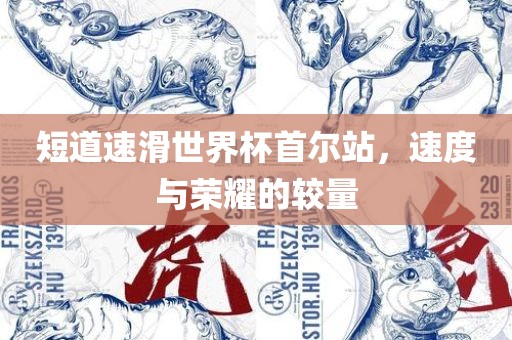 短道速滑世界杯首尔站，速度与荣耀的较量