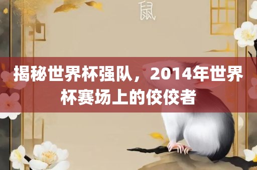 揭秘世界杯强队，2014年世界杯赛场上的佼佼者