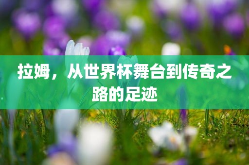 拉姆，从世界杯舞台到传奇之路的足迹
