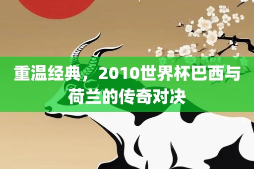 重温经典，2010世界杯巴西与荷兰的传奇对决