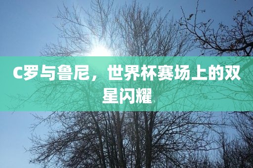 C罗与鲁尼，世界杯赛场上的双星闪耀