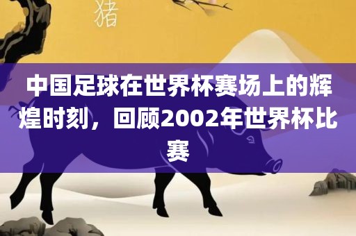 中国足球在世界杯赛场上的辉煌时刻，回顾2002年世界杯比赛