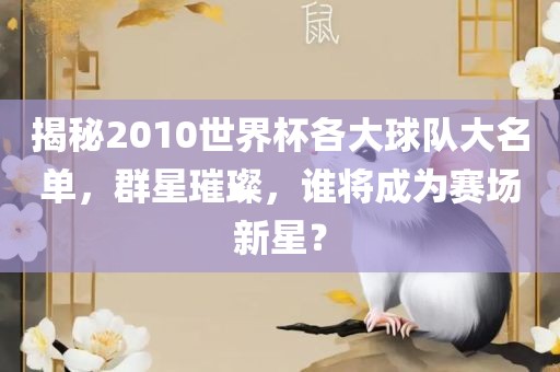 揭秘2010世界杯各大球队大名单，群星璀璨，谁将成为赛场新星？