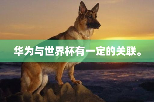华为与世界杯有一定的关联。