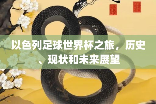 以色列足球世界杯之旅，历史、现状和未来展望