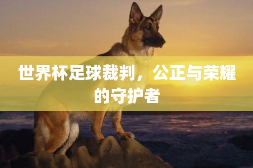世界杯足球裁判，公正与荣耀的守护者